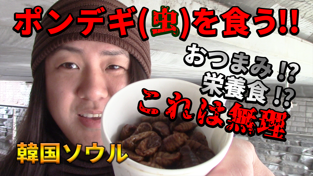 昆虫食 ポンテギの味は 韓国の屋台でゲテモノに挑戦 韓国 ソウル Yakken In The World